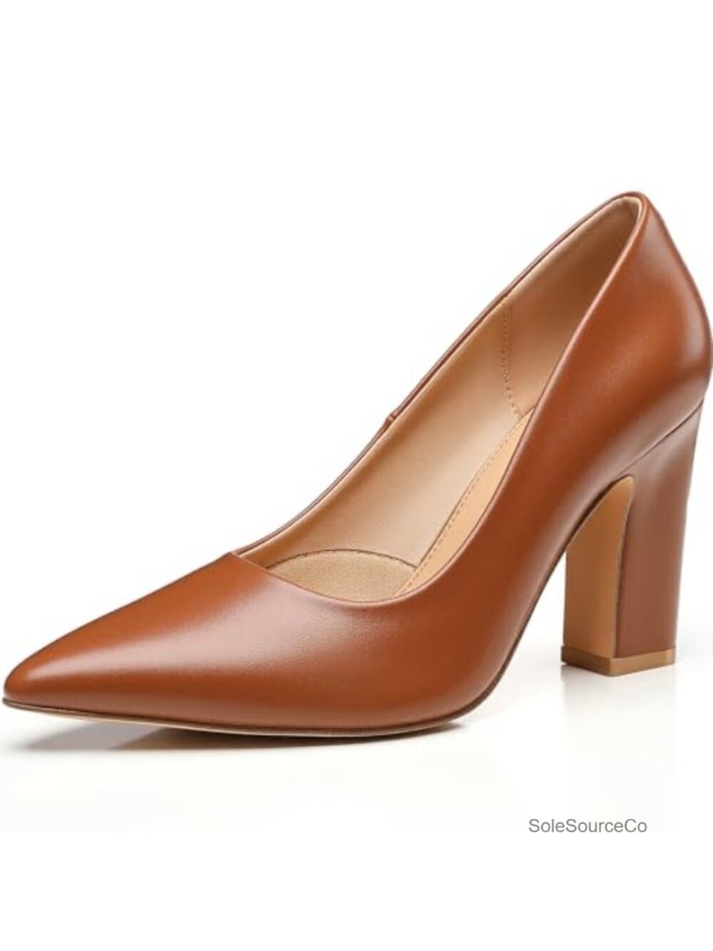 Chunky Block Heel Pumps for Women, Closed Pointed Toe Slip-On Dress Shoes,